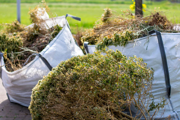 Best Moving and Downsizing Cleanouts  in Oronoque, CT